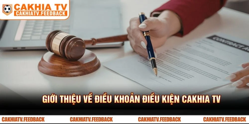 Giới thiệu về điều khoản điều kiện CAKHIA TV